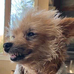 Meet your Posher, Cory